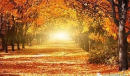 秋天妈妈最新爆料文案,最新爆料背后的温馨故事