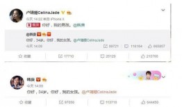 娱乐圈爆料语音文案,揭秘明星背后的秘密与真相