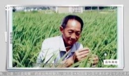 海南卫视爆料视频大全集